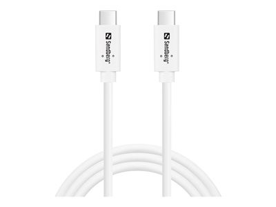 [136-53] Sandberg USB-C/C Data&Charge Cable 100W 1M